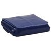 Vidaxl Plandeka, Niebieska, 5X6 M, 650 G/M²