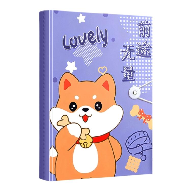 Clear Document Folders with Cartoon Design Lightweight File Storage for Students Teachers Award Certificate Organization