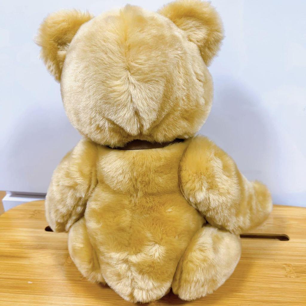 [USED] Steiff Petsy Teddy Bear