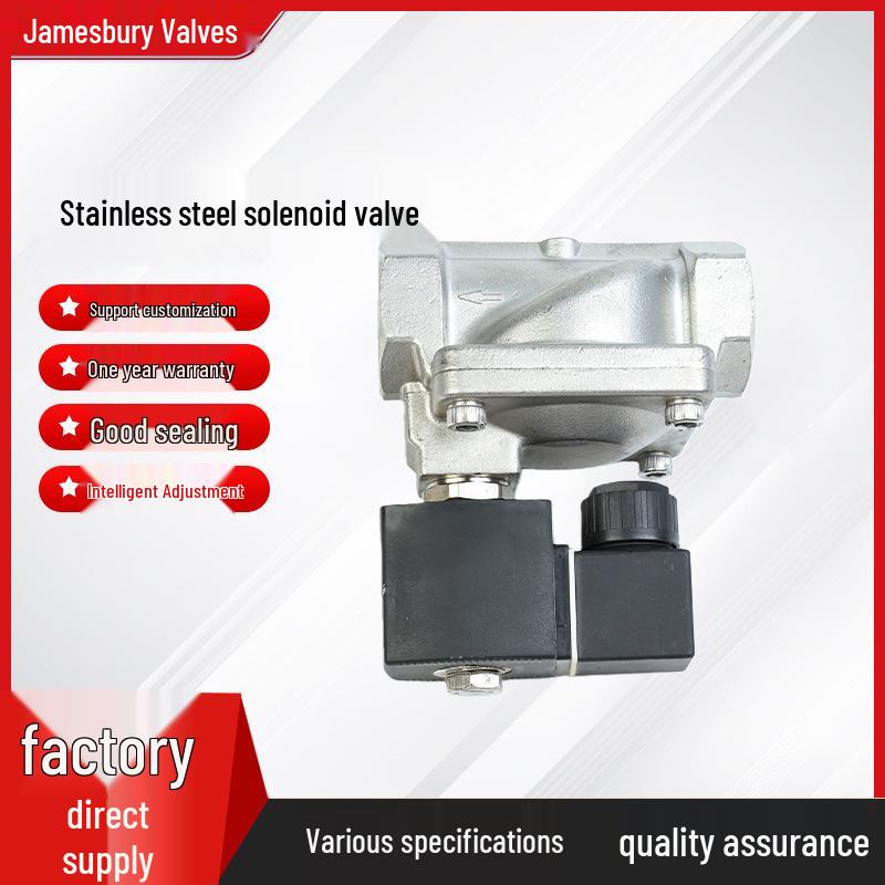 

High-Pressure Water/Gas Solenoid Valve, Stainless Steel 304 SLP-16P, Pilot Type Inlet