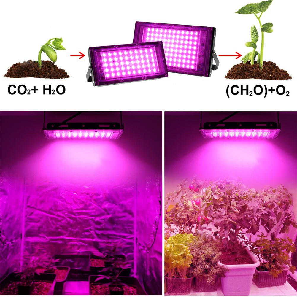 Led Full Spectrum Grow Light 220v 50w 100w Plant Growing Lamp For Indoor Plant Hydroponics