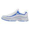 Daytona Reebok Dmx 'Spirit White' CN3806