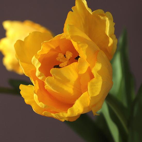 Flores de Tulipán Artificiales Tacto Real Tulipán de Tallo Largo Ramo con Hojas para Ramo de Boda Arreglo Floral de Primavera Decoración de Mesa para el Hogar