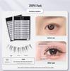Jasmine Natural Segment False Eyelashes - Photogenic Round Eye Style for Beginners