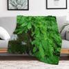 Mossy Rock and Ferns Throw Blanket Soft Warm Blanket Gift for Men Women Adults