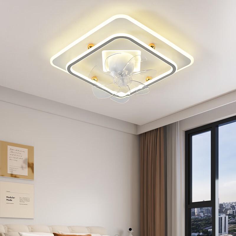 Oeny Modern Minimalist Ceiling Fan Light