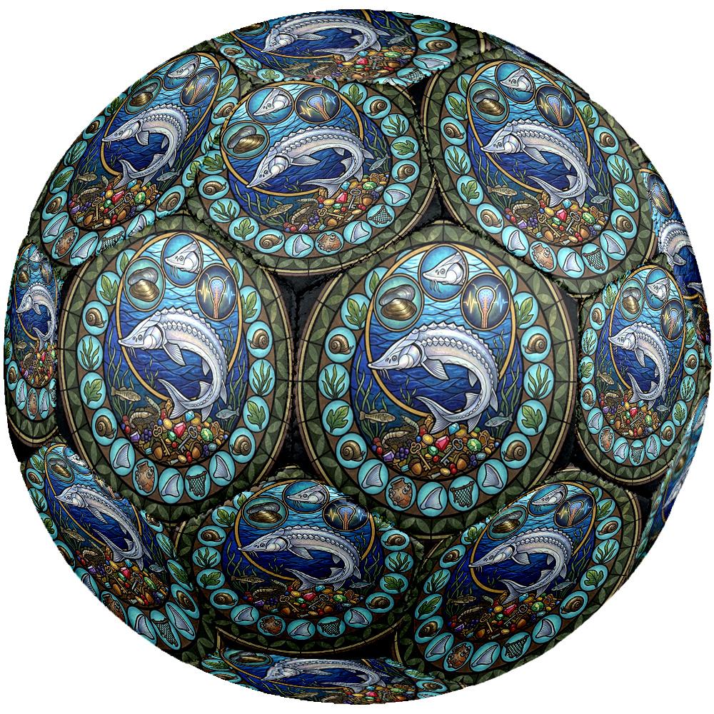 Ocean Life Symbols Round Football Size 5 Adult Ball Suitable for Training Matches and Outdoor Team.