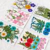 Handmade Pressed Flower Bookmark and Epoxy Sticker Pack with Real Leaf and Plant Specimens for DIY Face Makeup.