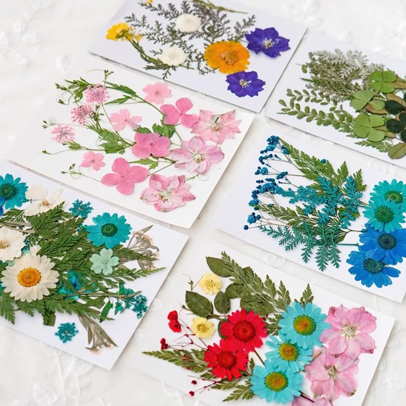 Handmade Pressed Flower Bookmark and Epoxy Sticker Pack with Real Leaf and Plant Specimens for DIY Face Makeup.