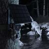 F9 Solar-Powered HD Hunting Camera with Infrared, Long Battery, 4G LTE, Remote eSIM Dual-Mode