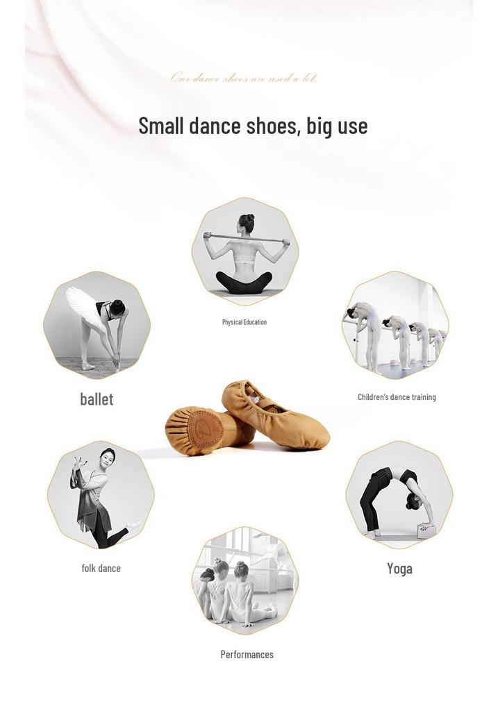 Girls' Soft Sole Stretchy Ballet Practice Shoes In Flesh Color