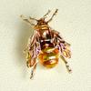 Brooch Pin Small Bee Shape Decorative Brooch with Enamel Finish Anti-Exposure Buckle Scarves Badge Party Accessory