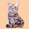 Cat Simulation 3d Plush Stuffed Toy Animal Doll Room Decoration Gift Birthday