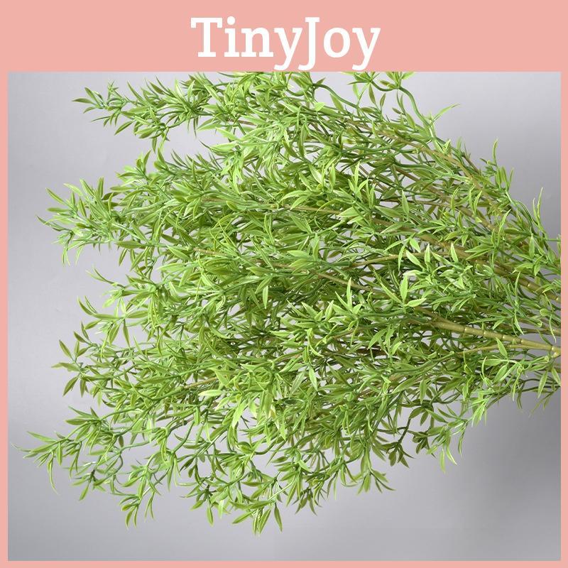 Pyszna Monstera Liebm I Eukaliptus Cytrynowy Hook Zielone Rośliny Dekoracyjne