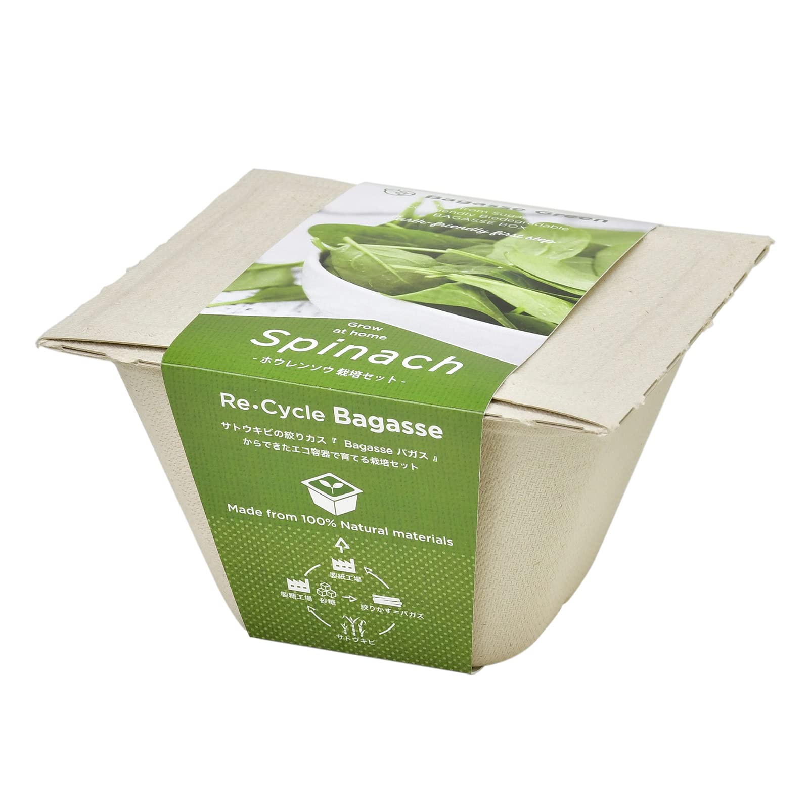 

Комплект для выращивания домашних растений Seishin Pottery Home Garden Easy Cultivation Kit Relaxed Grow Salad Spinach Herb Vegetable Cultation Set Ширина горшка около 12 см Багасса зеленая