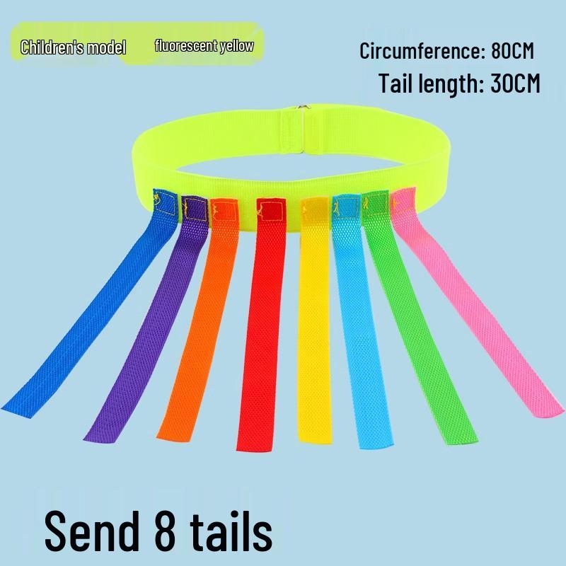 Kindergarten Tail-Pin Game: Parent-Child Outdoor Sensory Sports Toy