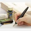 Platinum Fountain Izumo Ironwood Medium Nib Pen, (Matte Tagayasan) (M), PIZ-50000T#20