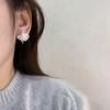 Silver-White Firework Earrings: Chic 2025 Design, 925 Silver Studs, Stylish and Versatile.