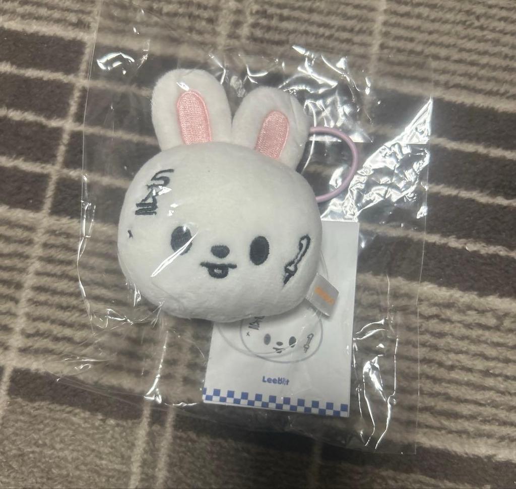 [USED] Straykids KARMA POPUP Skzoo Name Tag Levit