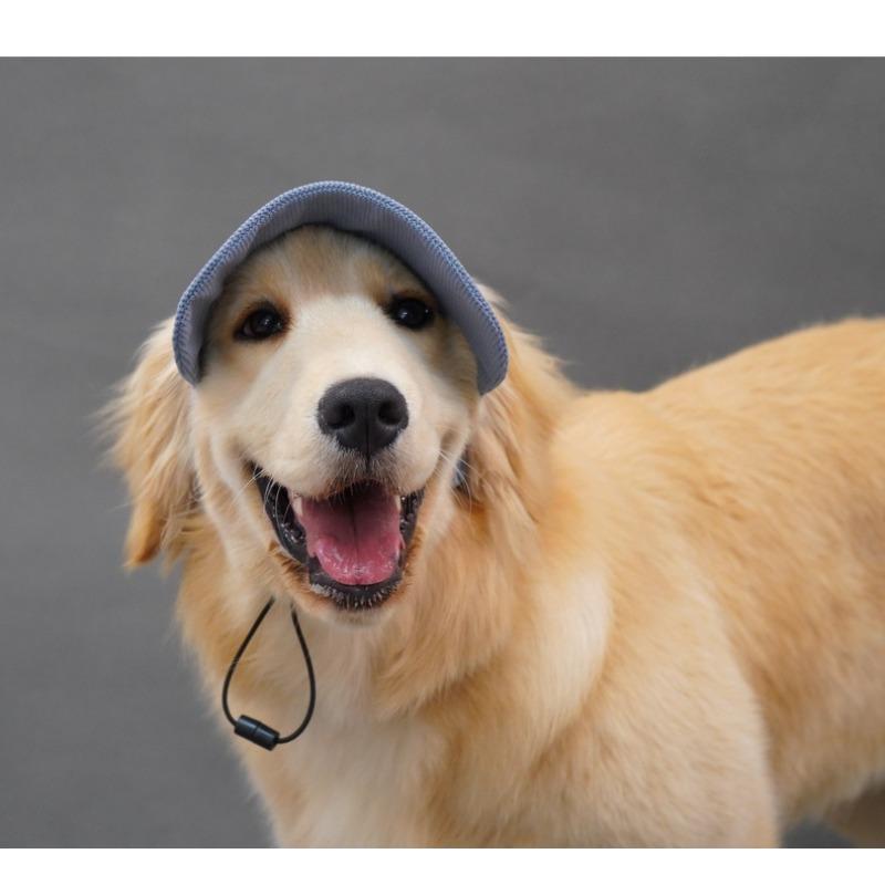 Cute Pet Baseball Cap Ear Hole Design Outdoor Sun Hat Dog Visor Cap for Golden Retriever Labrador Big Dogs Walking Travel Pet Accessories