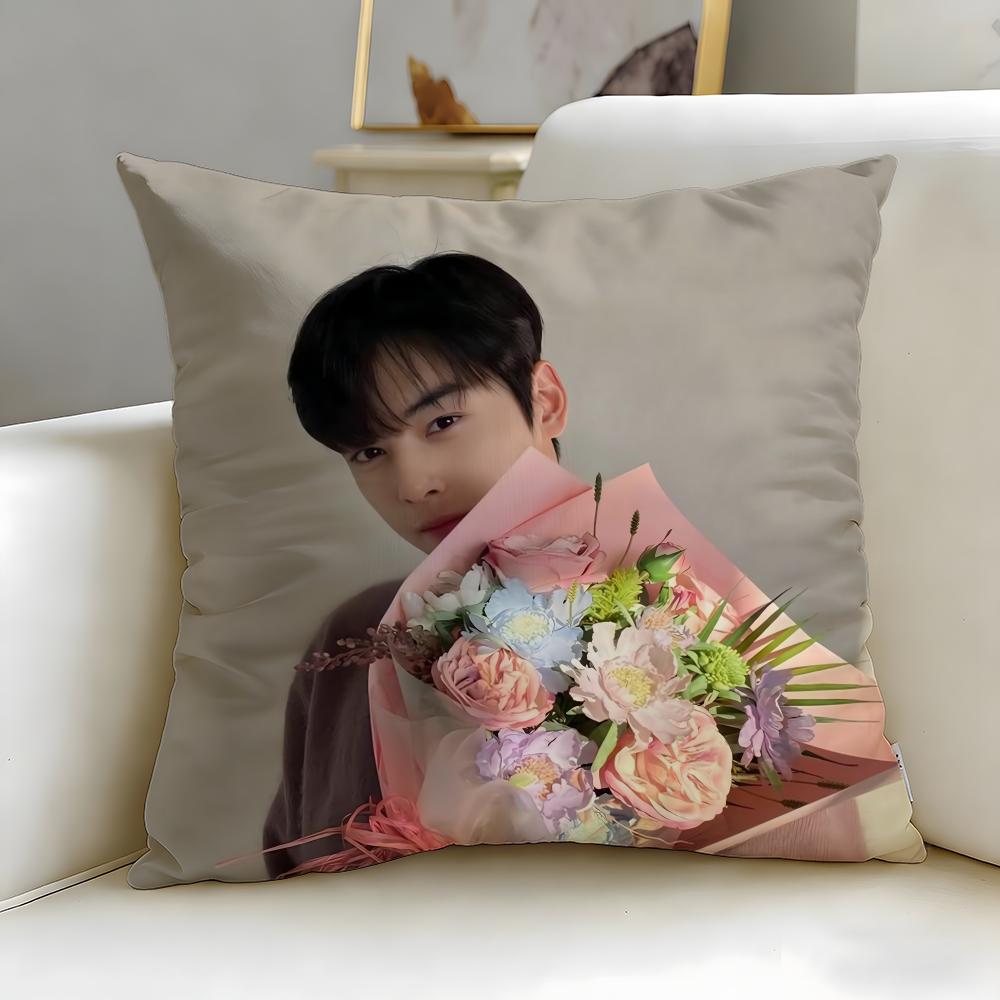 popular actor Cha Eun Woo Cushion Cover Soft  EasyWash Pillow Case  Versatile for Couch Bed Travel and Office