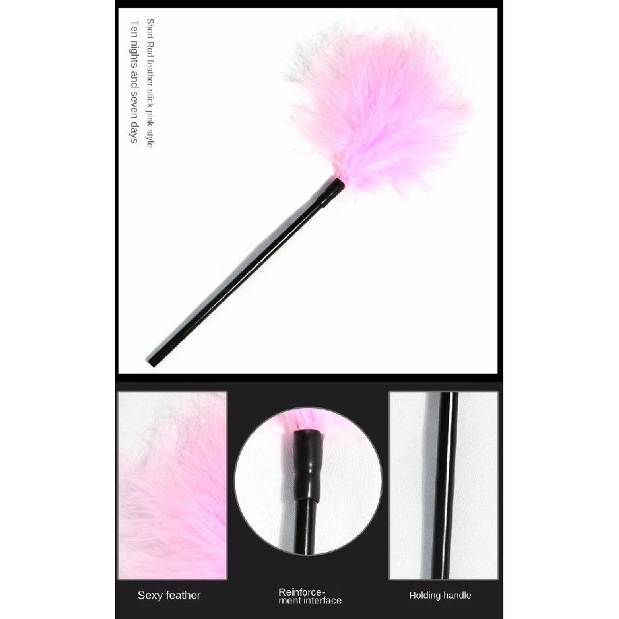 SM Short Rod Feather Stick Couple Foreplay Alternative Toys Adult Sexual