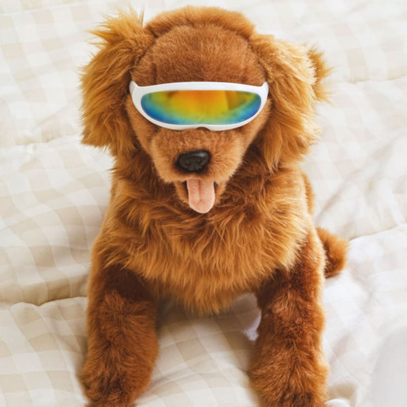 [Pet] Straight Mirror Sunglasses