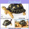 Squid Crab Turtle Salamander Hairtail Salmon Shark Marine Life Model For Educational Play And Collection