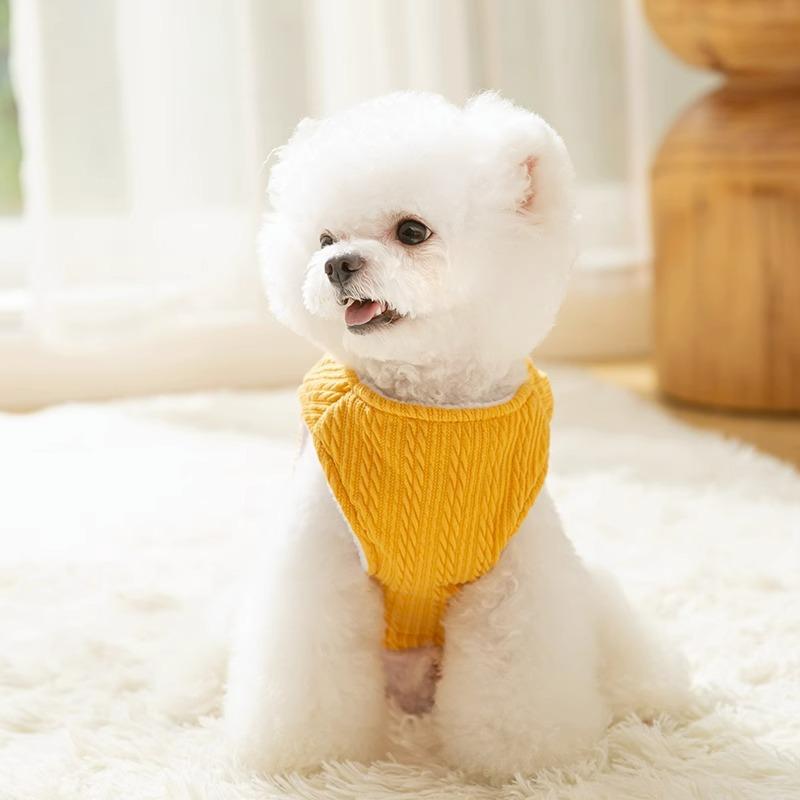 Double vest dog clothes autumn and winter padded thickened thermal vest two-legged bear knitted cat pet clothing