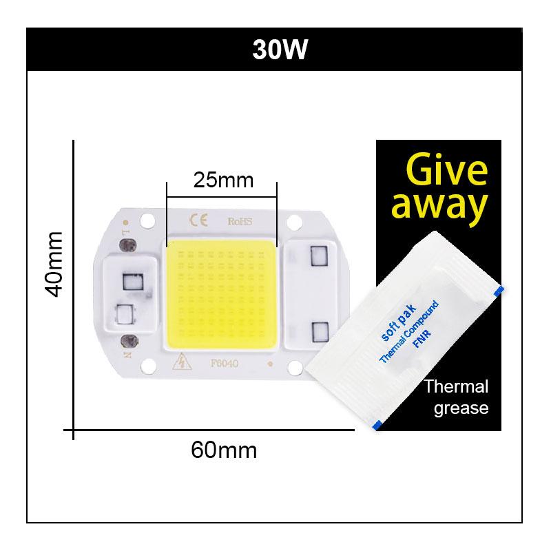 110V 220V LED Chip 10W 20W 30W 50W 60W 70 COB Chip No Need Driver LED Lamp Beads for Flood Light Spotlight Lampada DIY Lighting