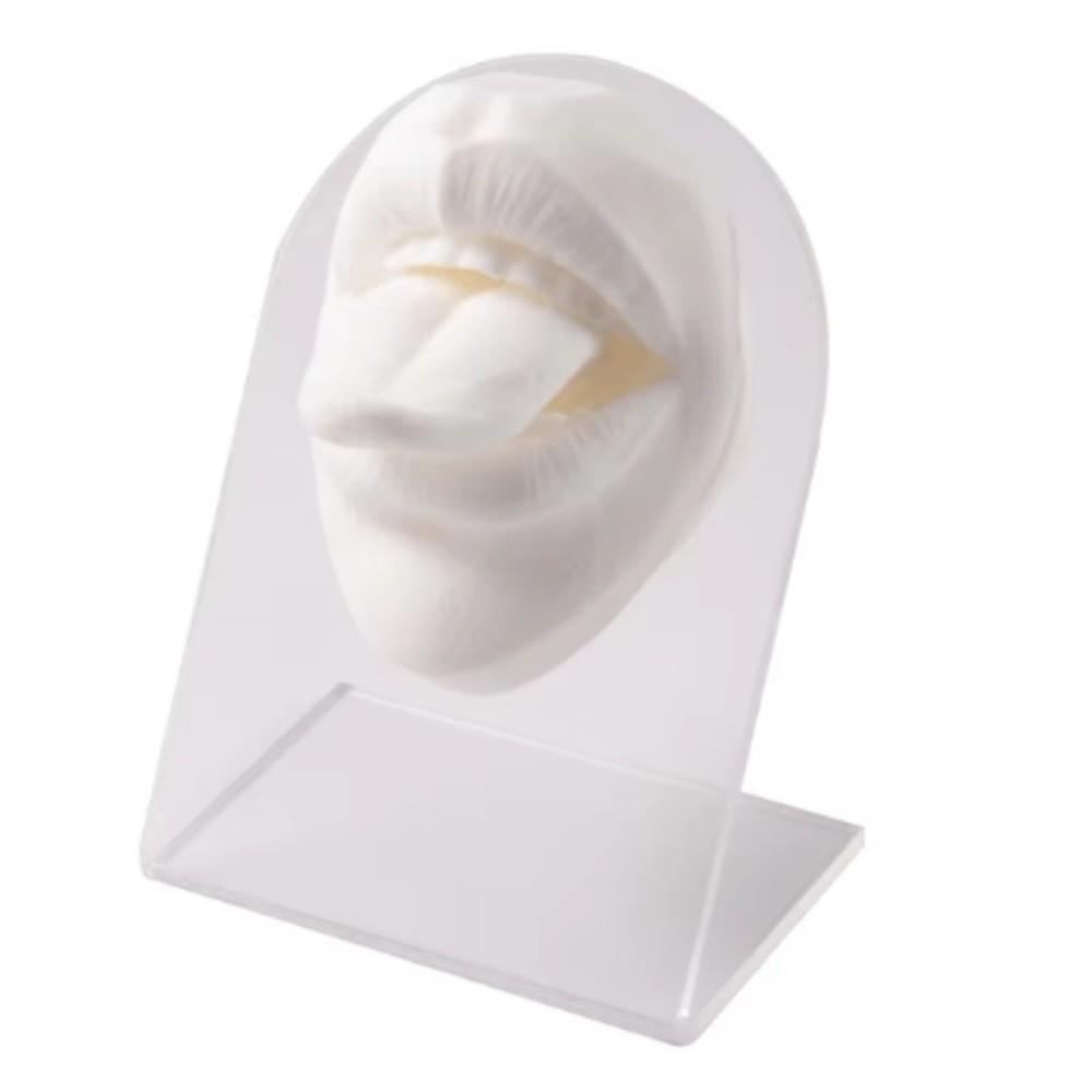 Lightweight Lips and Tongue Model Silicone Lip Stud Display Stand  Girls Women