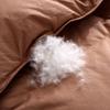 Autumn/Winter White Goose Down Cotton Comforter