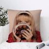 Cute Animal Champion Cushion Cover Anti-dustmite Pillowcase Invisible Zipper Silky Short Plush Sofa Cushion Cover