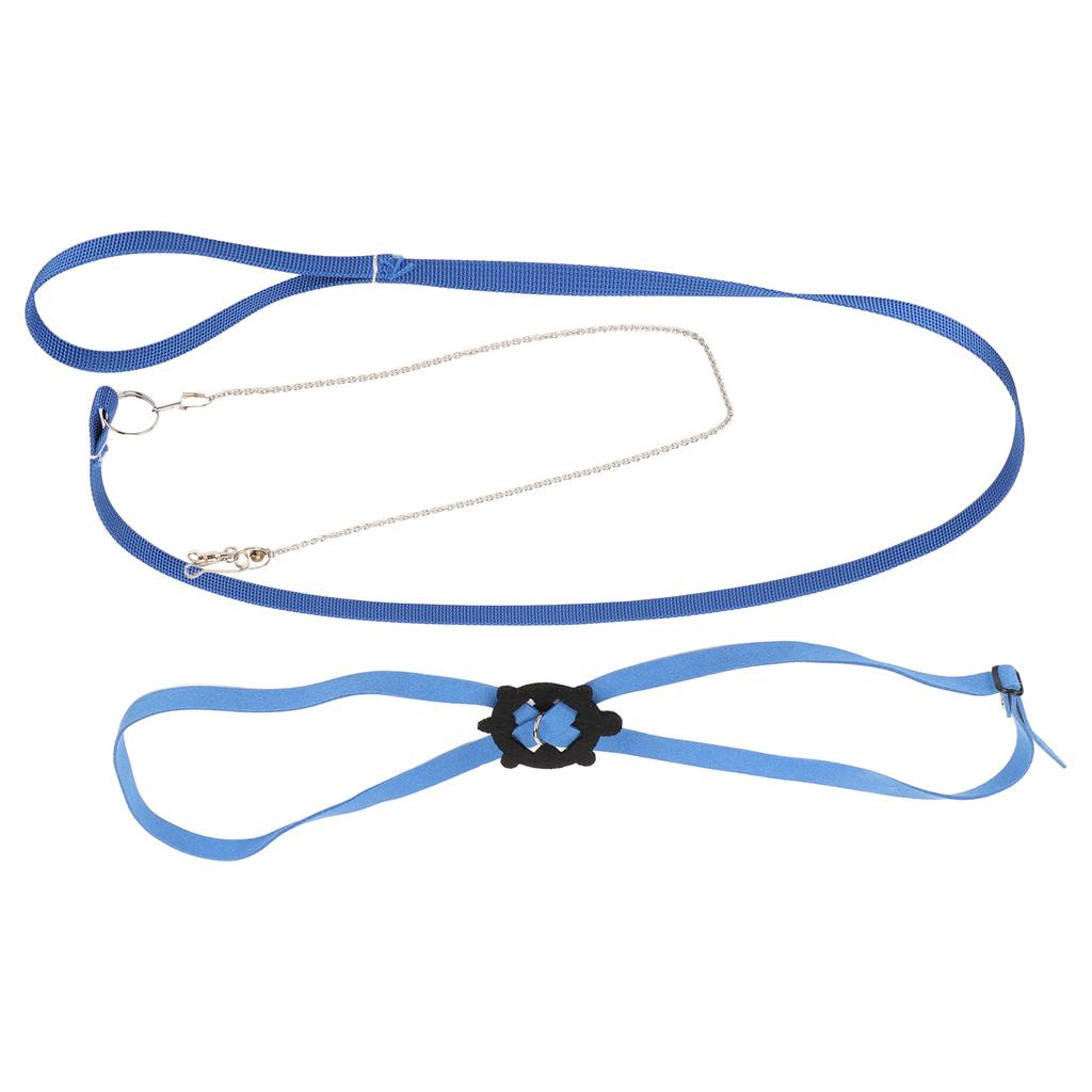 Schildkröten Geschirr Leine Verstellbar Hautfreundlich Haustier Geschirr Reptilien Leine für Draußen Schwarz L