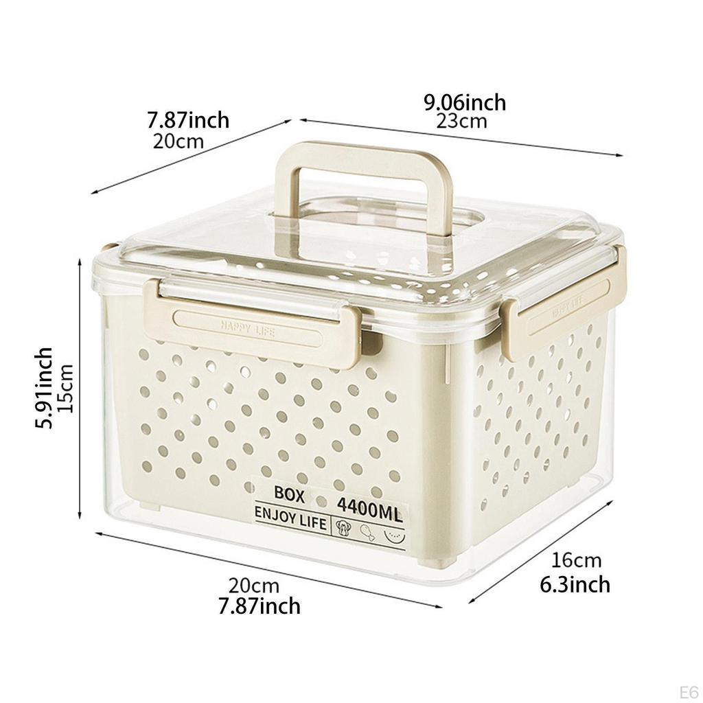 Fridge Storage Container for Fruits and Vegetables, Airtight Bin Produce