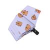 Sun Protection Capybara  Automatic Umbrella Animals Capybara  Anti-UV Umbrella  Students