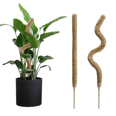 2/4/8pcs Pack Bendable Moss Pole for Plants Climbing Coco Coir Plant Support Sticks for Indoor Balcony Garden Monstera Plants