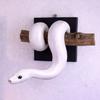 Gothic Accent 3D Metallic Snake Sculpture Reptile Themed Python Hanging Decor  Indoor Outdoor Decor