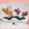 Phalaenopsis Faux Flower Plant Decor For Wedding Ceremony Garden Photography And Home Arrangement