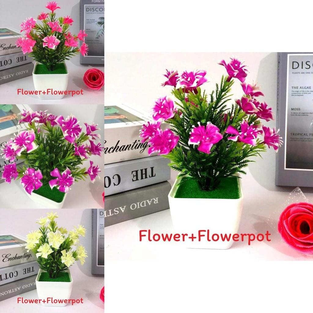 Camellia Sasanqua Miniature Artificial Plant Set With Flower And Pot For Home Decor And Gift