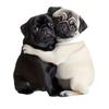 6 Pcs 2D Flat Dog Car Rear View Mirror Charm Acrylic Auto Interior Accessories Christmas Tree Hanging Ornament for Window Backpack Home Decor