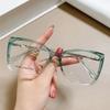 Fashion  Large Frame Transparent Gradient Glasses Frame Leopard Print Ins Style Eye Glasses Frames For Women Eyewear