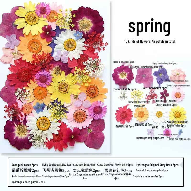 DIY Handmade Dried Flower Embossed Wall Clock with Wood Grain Border