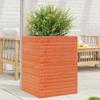Plant Pot Wax Brown 50x50x68.5 Cm Solid Pine Wood