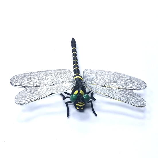 Künstliche Libellen-Dekoration mit Kordel/Anstecknadel Tragbar Outdoor Camping Mücken Fliegenabwehr Simuliertes 3D Libellenmodell Ornament Kinder Lernspielzeug