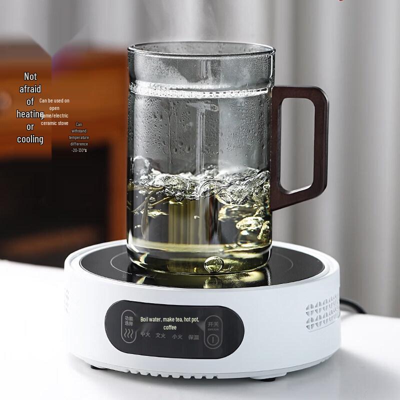 ZISIZ Large Capacity Glass Tea Cup with Integrated Filter