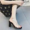 Pantoufles fraîches de printemps et d'été pour femmes, pour sortir, chaussures pour femmes, talon moyen transparent, talon épais, sandales pour femmes, grande taille