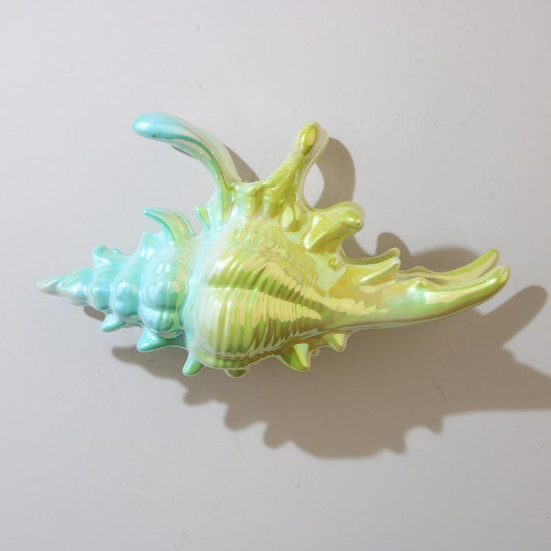 1Pcs Hair Claw Elegant Shark Clip Creative Conch Hairpin Colorful Gift For Summer Beach Headwear Hair Accessories