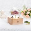 Unique Hot Item 2026 Trends New Years Innovative Product Ideas In Latest Real Flower Night Light Holiday Festival Gift Set