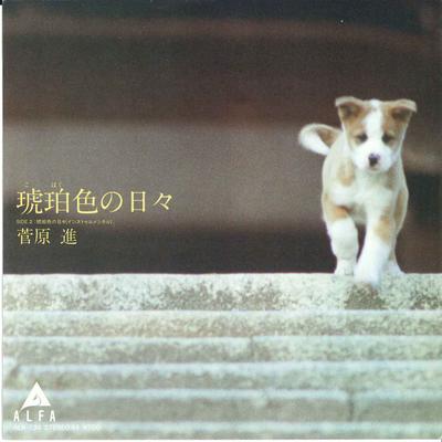 Hobby i twórczość – Muzyka